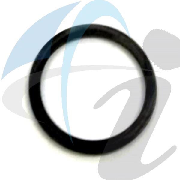 124,126 MODULATOR O RING