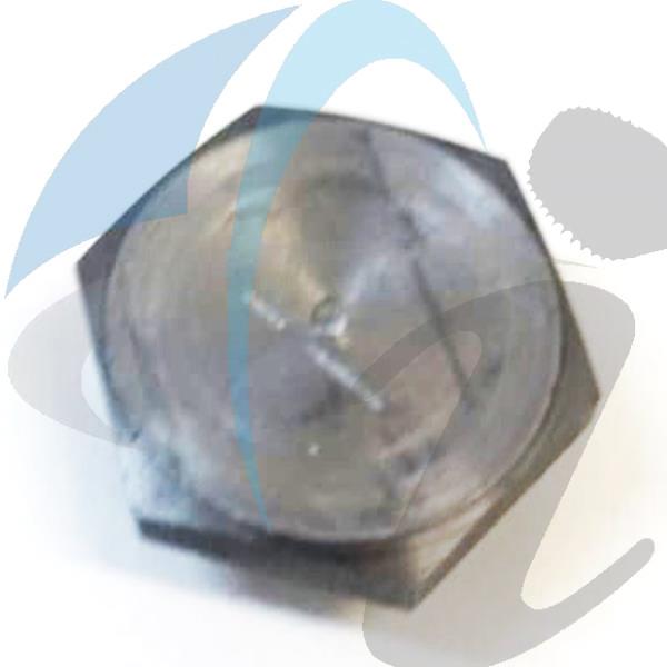 DIFF COVER PLUG MAGNETIC